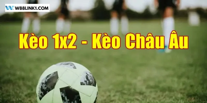 Tỷ Lệ Kèo Châu Âu Xanh Chín Tại W88 - Mẹo Bắt Kèo Ăn Đậm