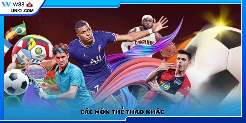 Nhiều bộ môn thể thao khác đa dạng tại nền tảng